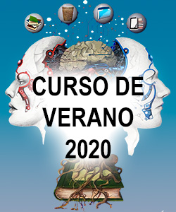 CURSO DE VERANO - 2020